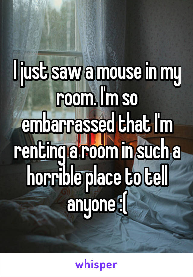I just saw a mouse in my room. I'm so embarrassed that I'm renting a room in such a horrible place to tell anyone :(