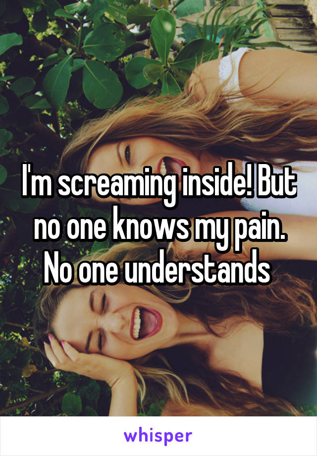 I'm screaming inside! But no one knows my pain. No one understands 