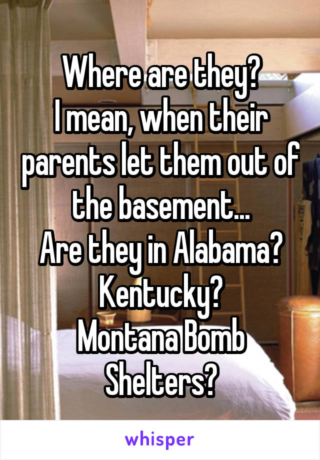 Where are they?
I mean, when their parents let them out of the basement...
Are they in Alabama?
Kentucky?
Montana Bomb Shelters?