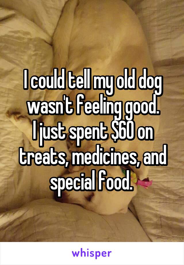 I could tell my old dog wasn't feeling good.
I just spent $60 on treats, medicines, and special food. 