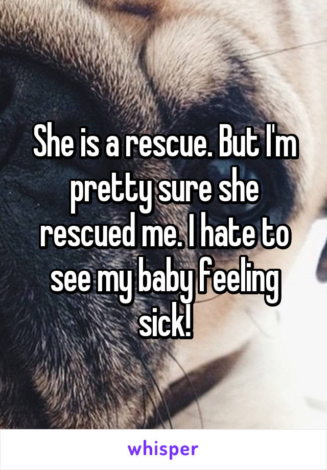 She is a rescue. But I'm pretty sure she rescued me. I hate to see my baby feeling sick!