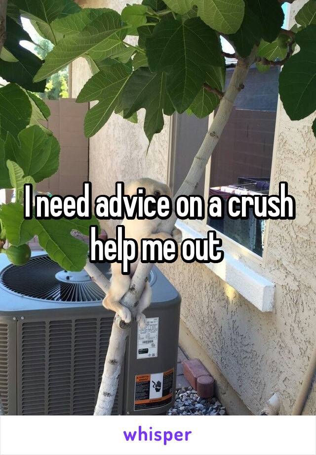 I need advice on a crush help me out 