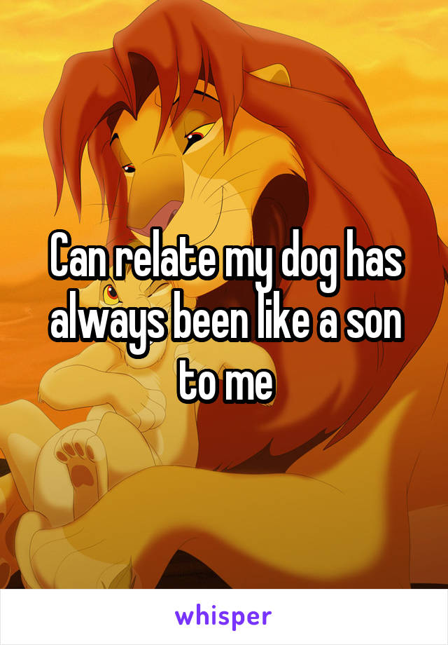 Can relate my dog has always been like a son to me