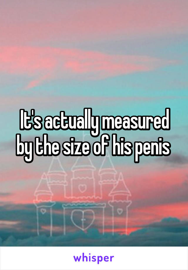 It's actually measured by the size of his penis 