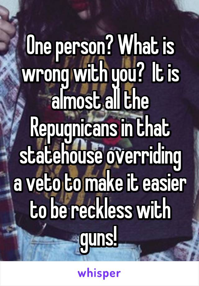 One person? What is wrong with you?  It is almost all the Repugnicans in that statehouse overriding a veto to make it easier to be reckless with guns! 