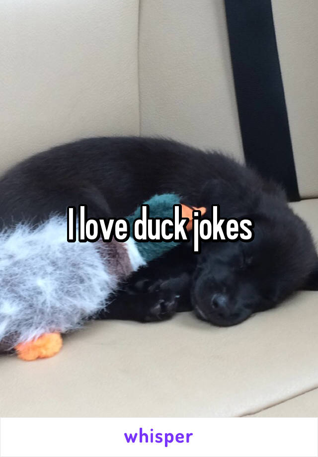 I love duck jokes