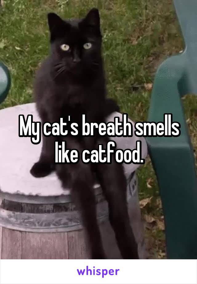 My cat's breath smells like catfood.