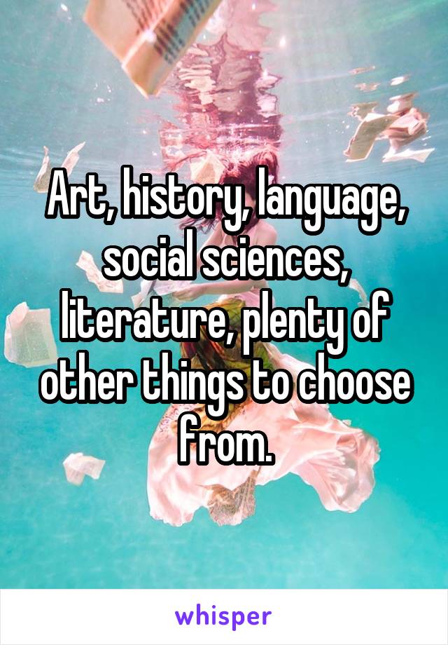 Art, history, language, social sciences, literature, plenty of other things to choose from.