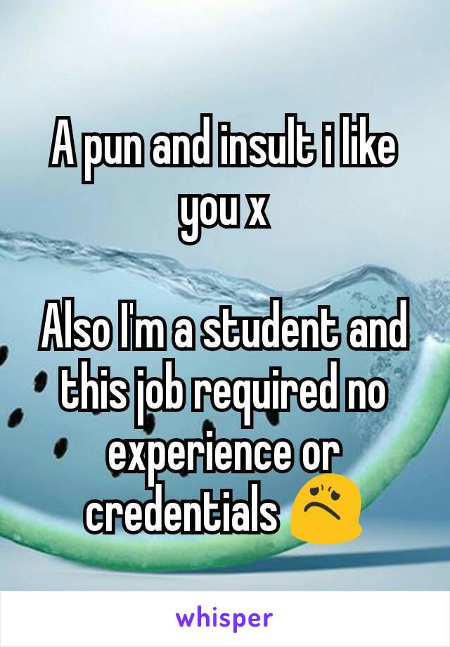 A pun and insult i like you x

Also I'm a student and this job required no experience or credentials 😟