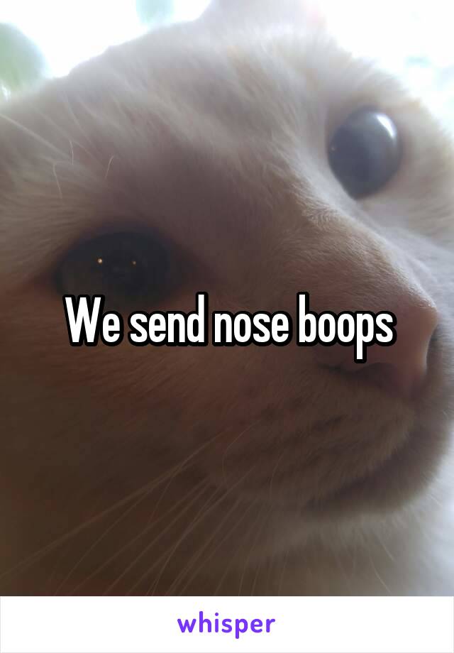 We send nose boops