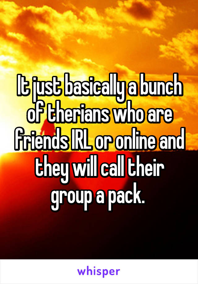 It just basically a bunch of therians who are friends IRL or online and they will call their group a pack. 