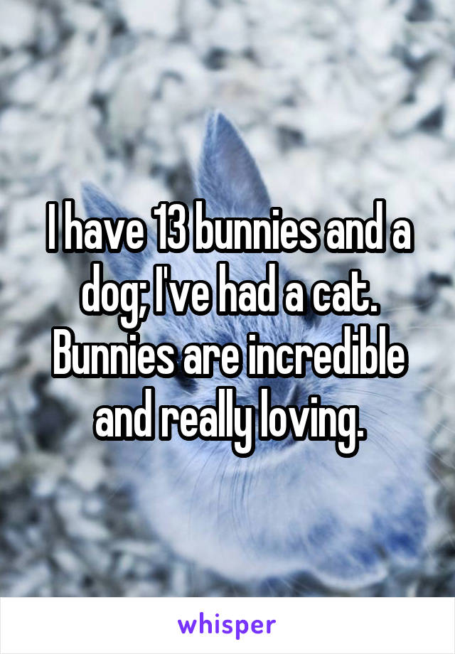 I have 13 bunnies and a dog; I've had a cat. Bunnies are incredible and really loving.