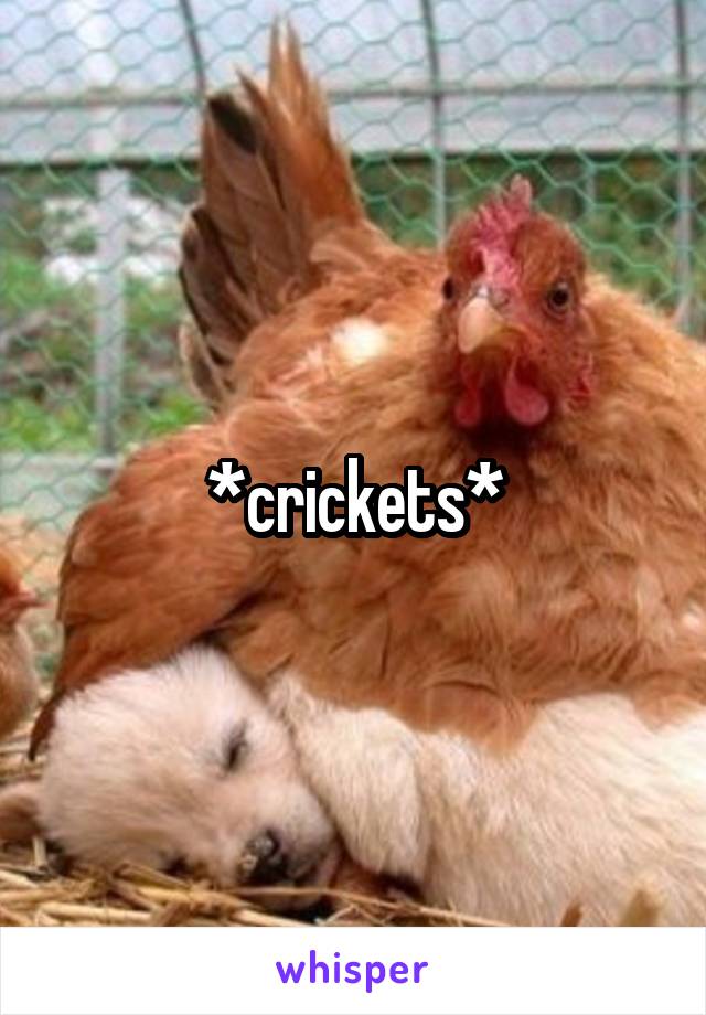 *crickets*