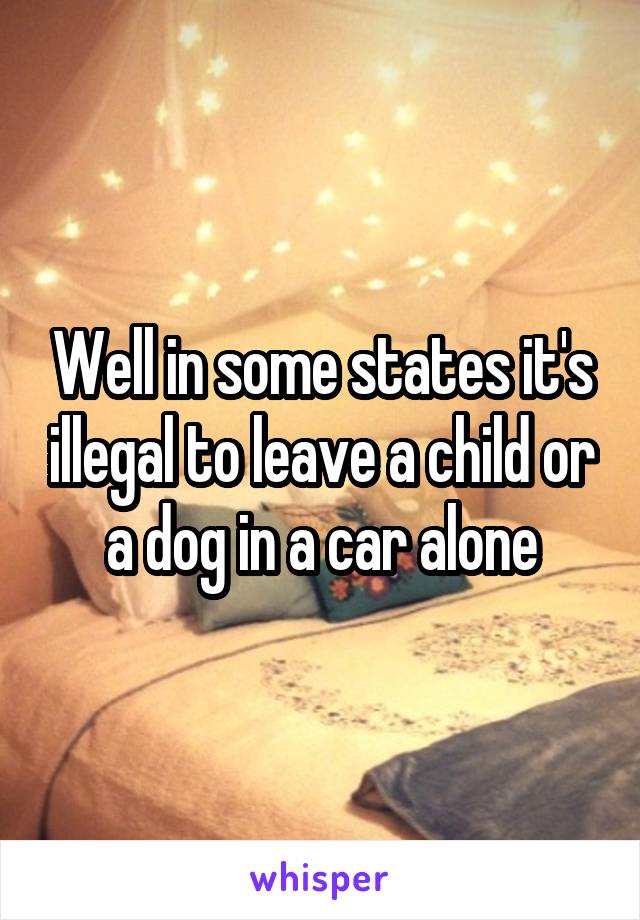 Well in some states it's illegal to leave a child or a dog in a car alone