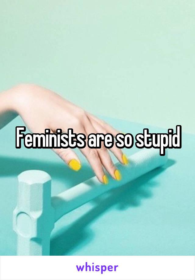 Feminists are so stupid