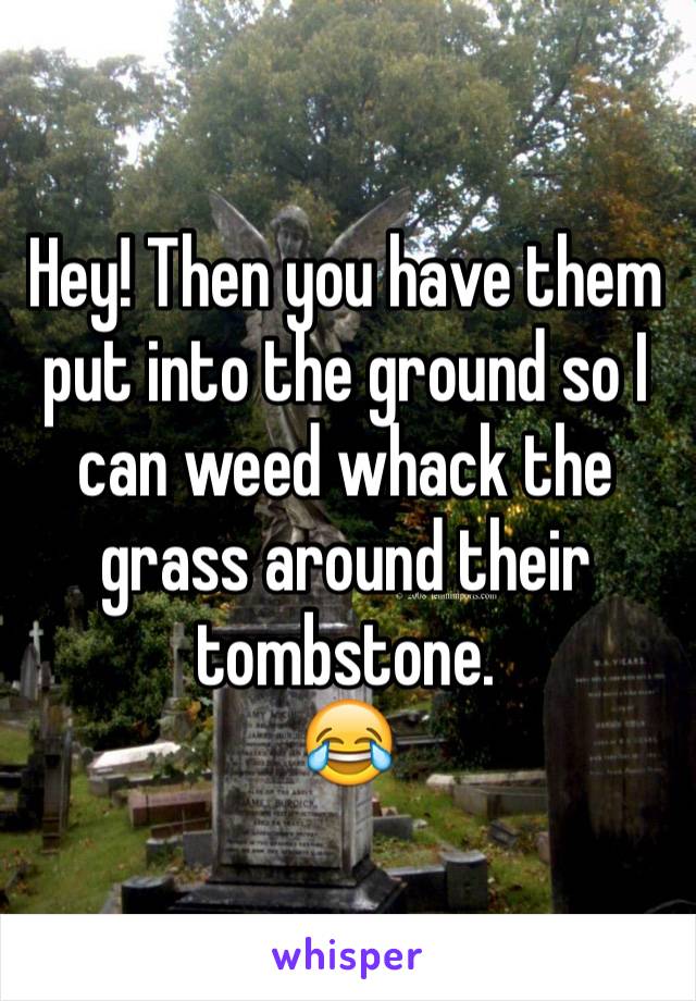 Hey! Then you have them put into the ground so I can weed whack the grass around their tombstone.
😂