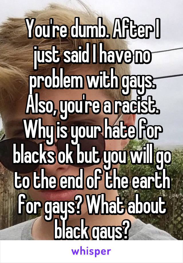 You're dumb. After I just said I have no problem with gays. Also, you're a racist. Why is your hate for blacks ok but you will go to the end of the earth for gays? What about black gays?