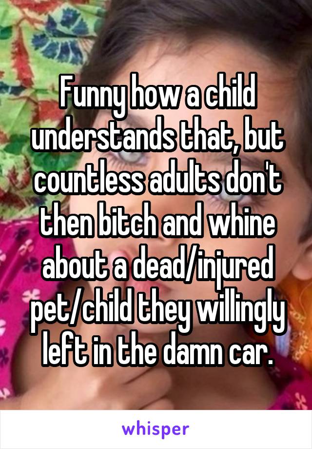 Funny how a child understands that, but countless adults don't then bitch and whine about a dead/injured pet/child they willingly left in the damn car.