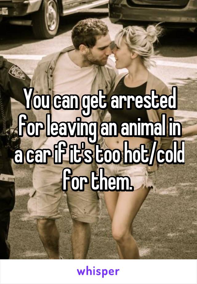 You can get arrested for leaving an animal in a car if it's too hot/cold for them. 