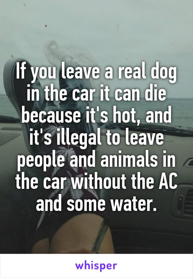 If you leave a real dog in the car it can die because it's hot, and it's illegal to leave people and animals in the car without the AC and some water.