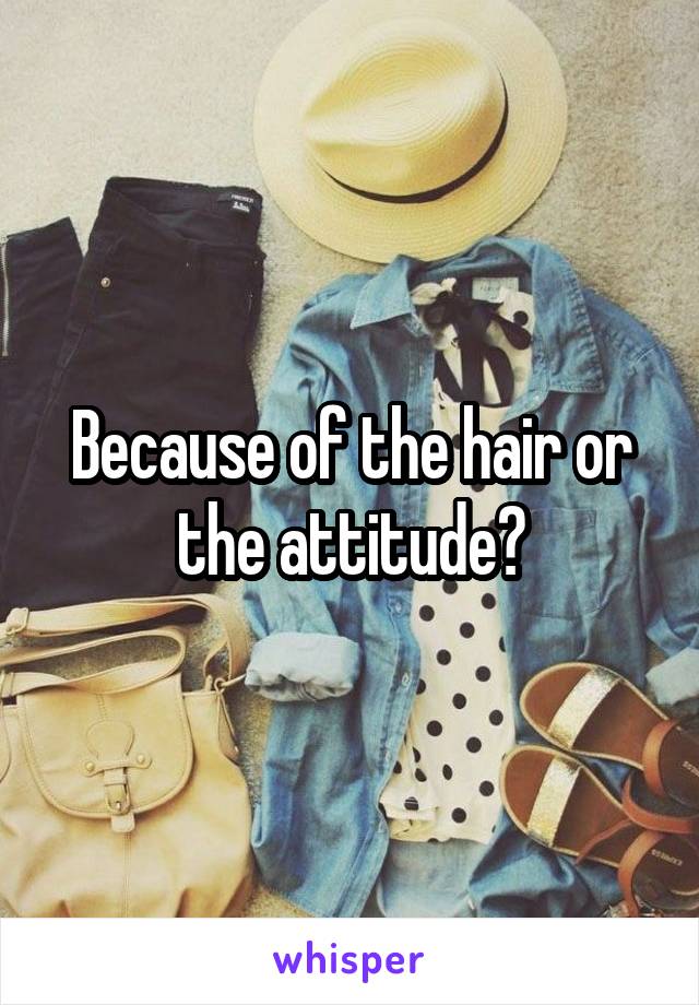 Because of the hair or the attitude?