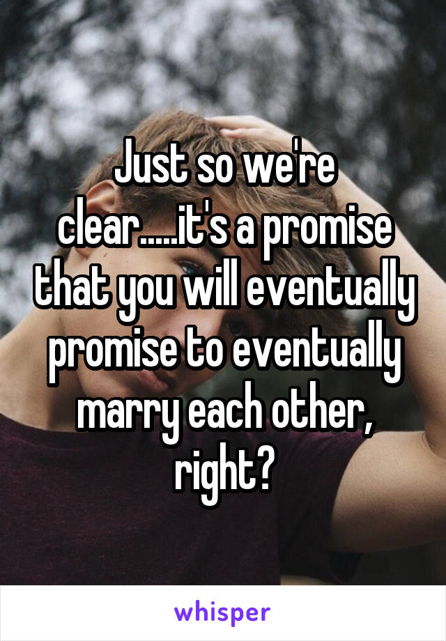 Just so we're clear.....it's a promise that you will eventually promise to eventually marry each other, right?