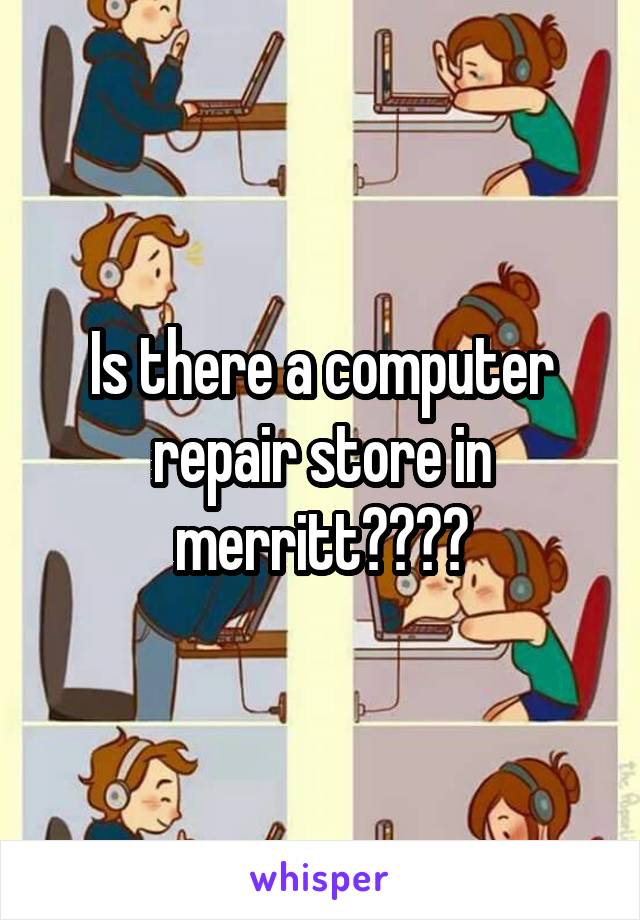Is there a computer repair store in merritt????