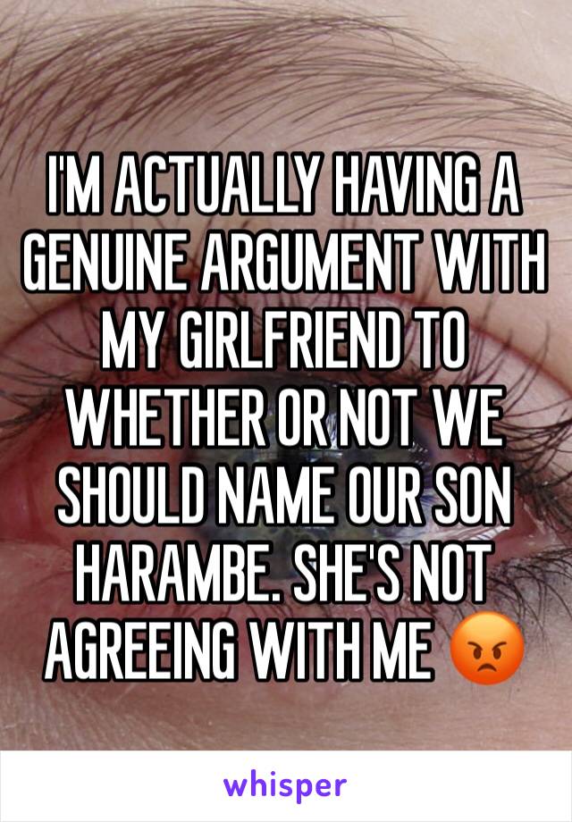 I'M ACTUALLY HAVING A GENUINE ARGUMENT WITH MY GIRLFRIEND TO WHETHER OR NOT WE SHOULD NAME OUR SON HARAMBE. SHE'S NOT AGREEING WITH ME 😡