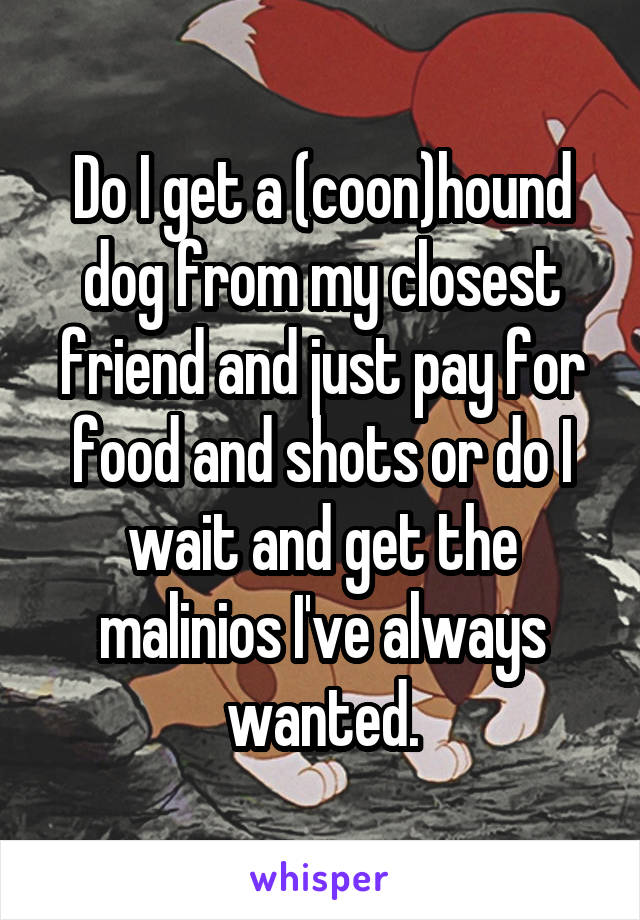 Do I get a (coon)hound dog from my closest friend and just pay for food and shots or do I wait and get the malinios I've always wanted.