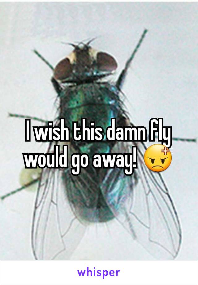 I wish this damn fly would go away! 😡