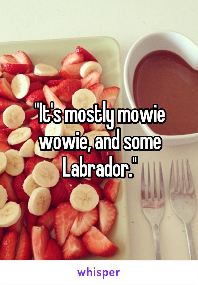 "It's mostly mowie wowie, and some Labrador."