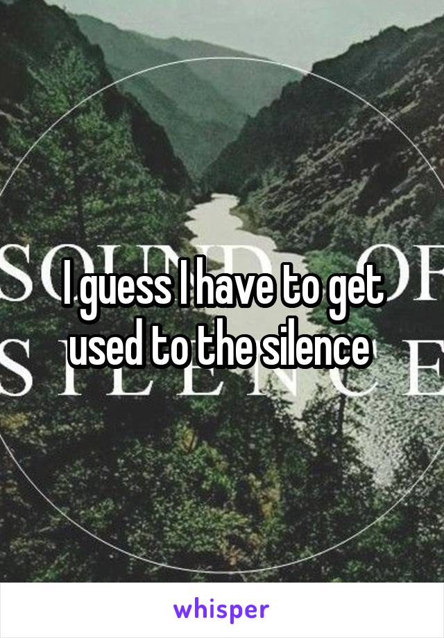 I guess I have to get used to the silence 