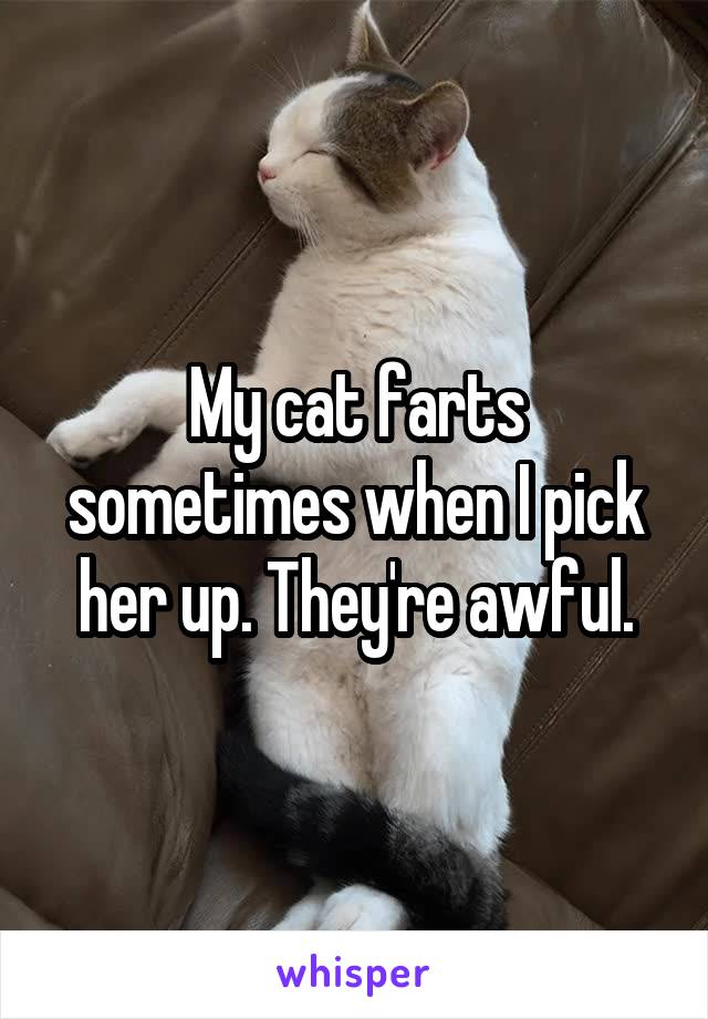 My cat farts sometimes when I pick her up. They're awful.