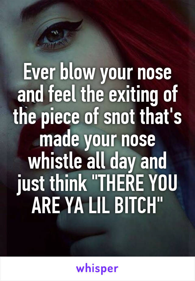 Ever blow your nose and feel the exiting of the piece of snot that's made your nose whistle all day and just think "THERE YOU ARE YA LIL BITCH"