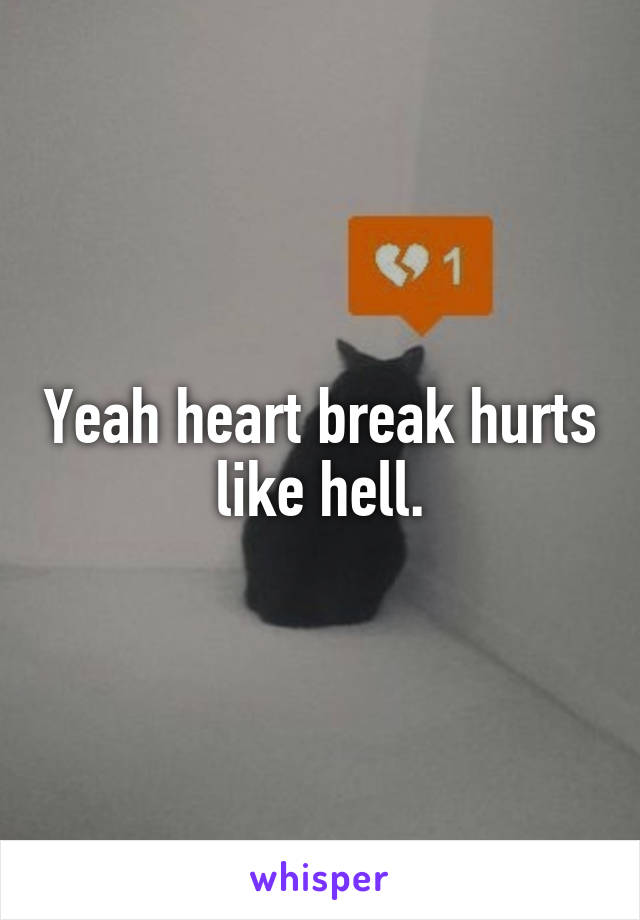 Yeah heart break hurts like hell.
