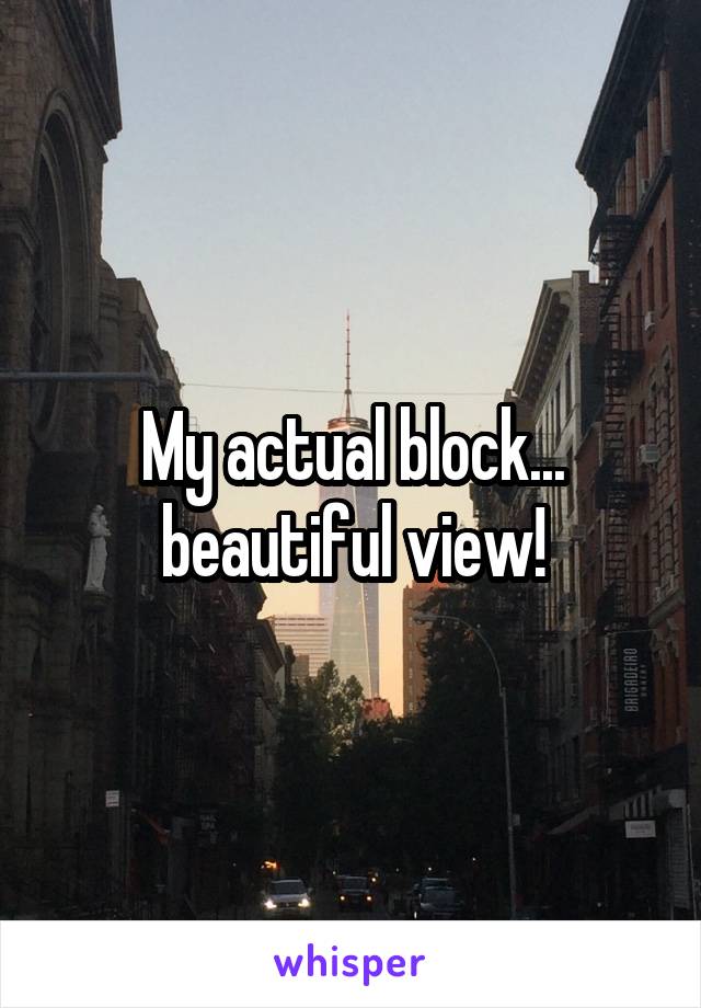 My actual block... beautiful view!