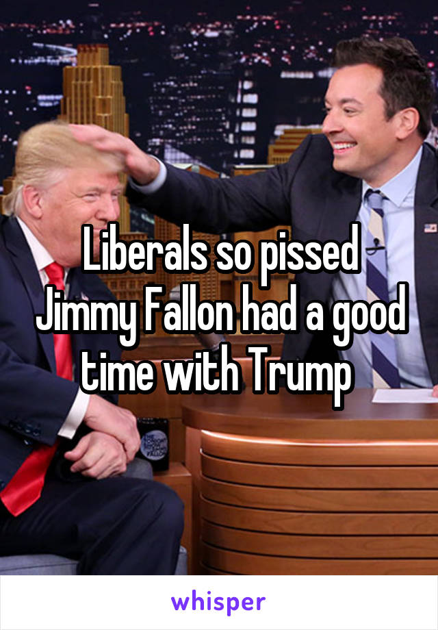 Liberals so pissed Jimmy Fallon had a good time with Trump 