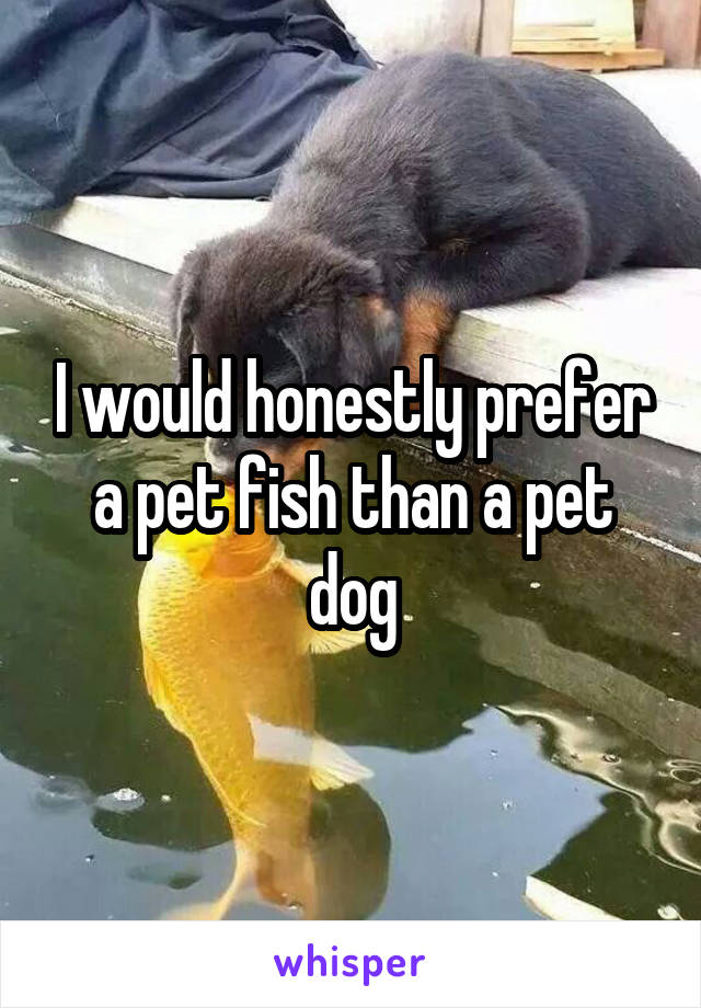 I would honestly prefer a pet fish than a pet dog