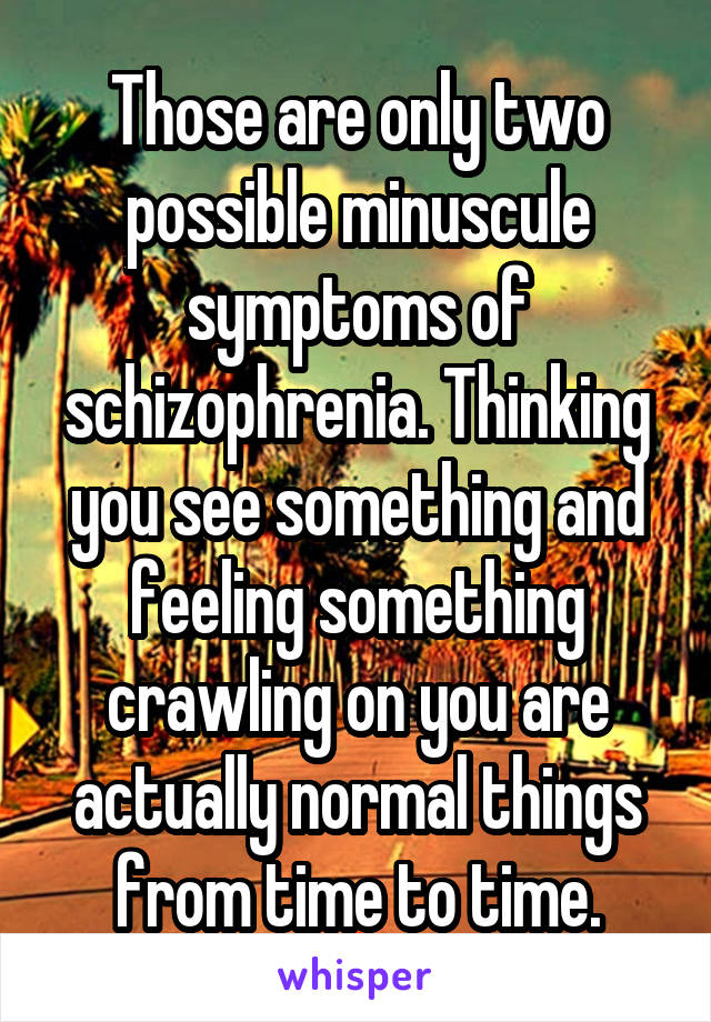 Those are only two possible minuscule symptoms of schizophrenia. Thinking you see something and feeling something crawling on you are actually normal things from time to time.