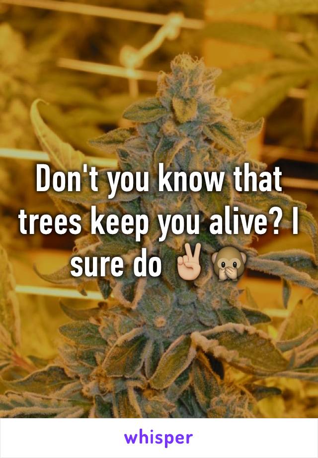 Don't you know that trees keep you alive? I sure do ✌🏼️🙊