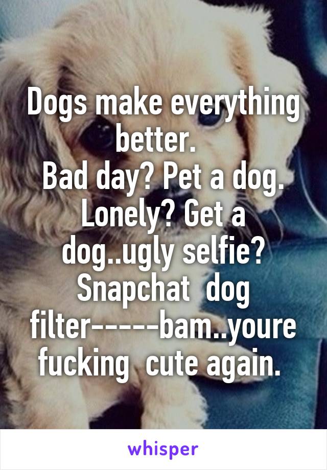 Dogs make everything better.  
Bad day? Pet a dog. Lonely? Get a dog..ugly selfie? Snapchat  dog filter-----bam..youre fucking  cute again. 