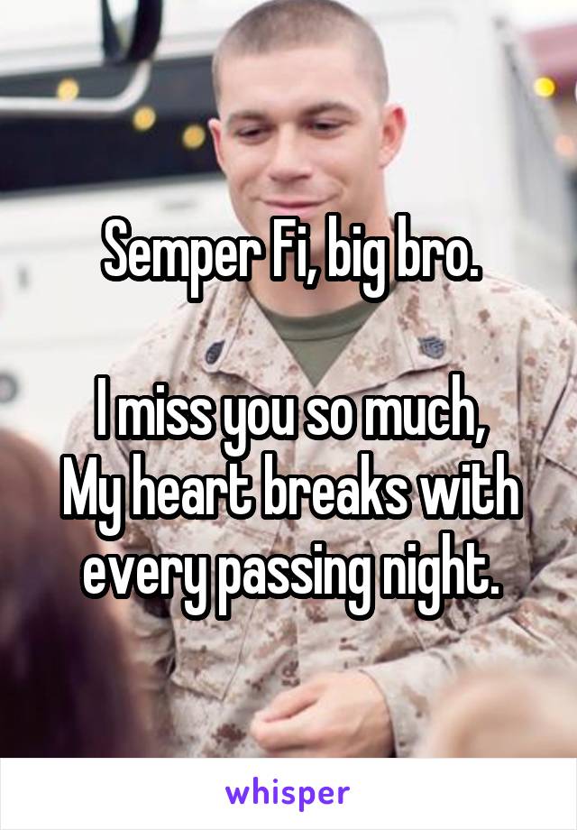 Semper Fi, big bro.

I miss you so much,
My heart breaks with every passing night.