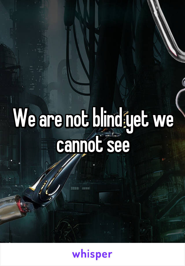 We are not blind yet we cannot see