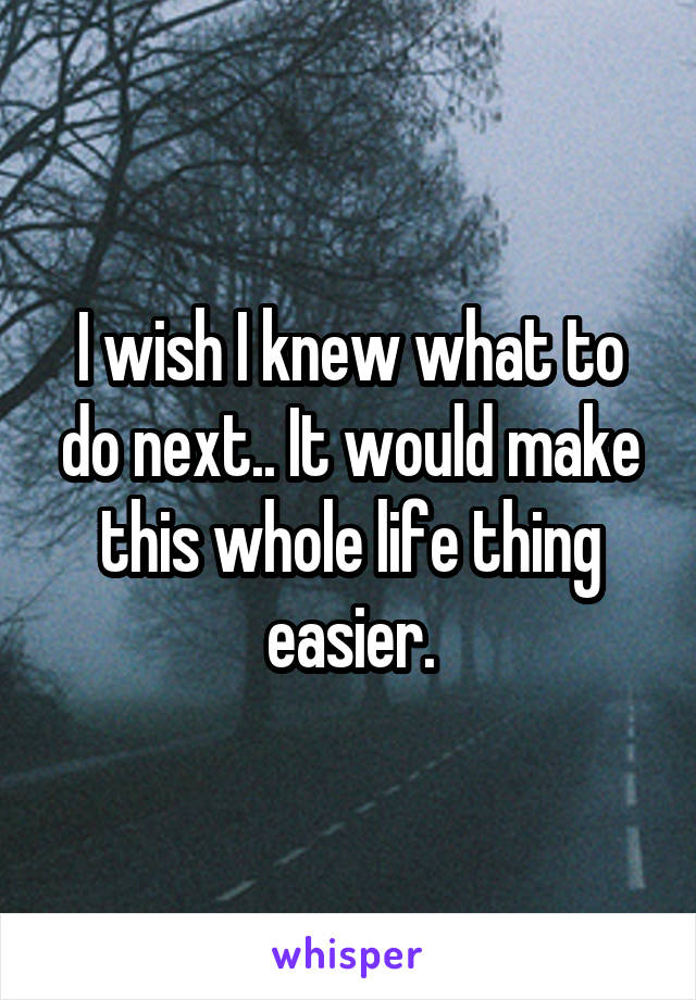 I wish I knew what to do next.. It would make this whole life thing easier.