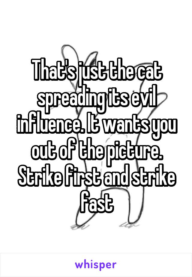 That's just the cat spreading its evil influence. It wants you out of the picture. Strike first and strike fast