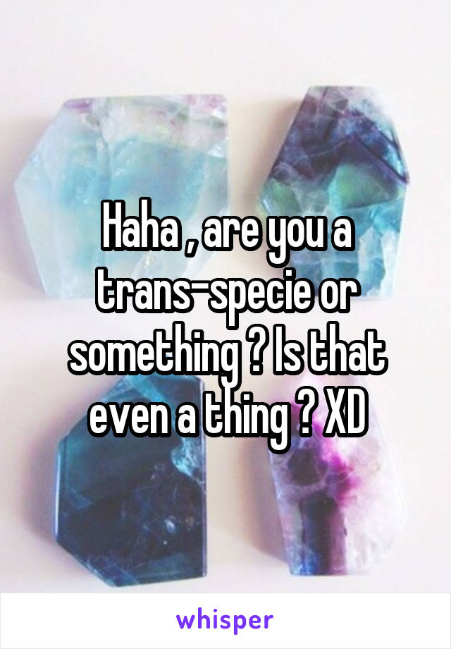 Haha , are you a trans-specie or something ? Is that even a thing ? XD