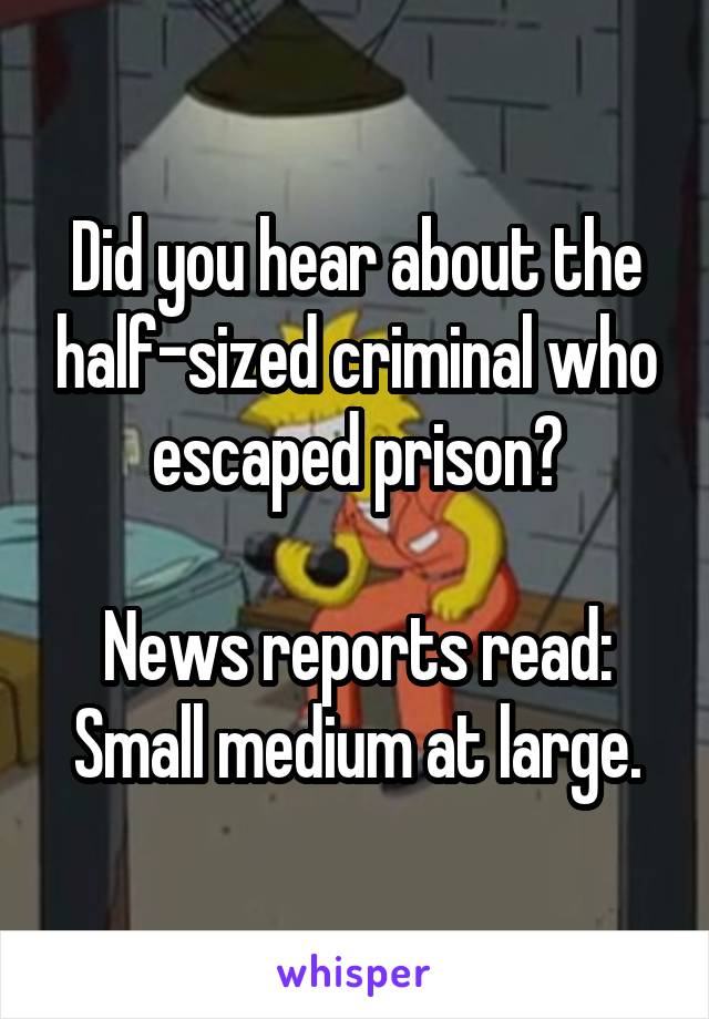 Did you hear about the half-sized criminal who escaped prison?

News reports read: Small medium at large.