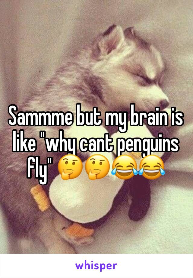 Sammme but my brain is like "why cant penguins fly" 🤔🤔😂😂