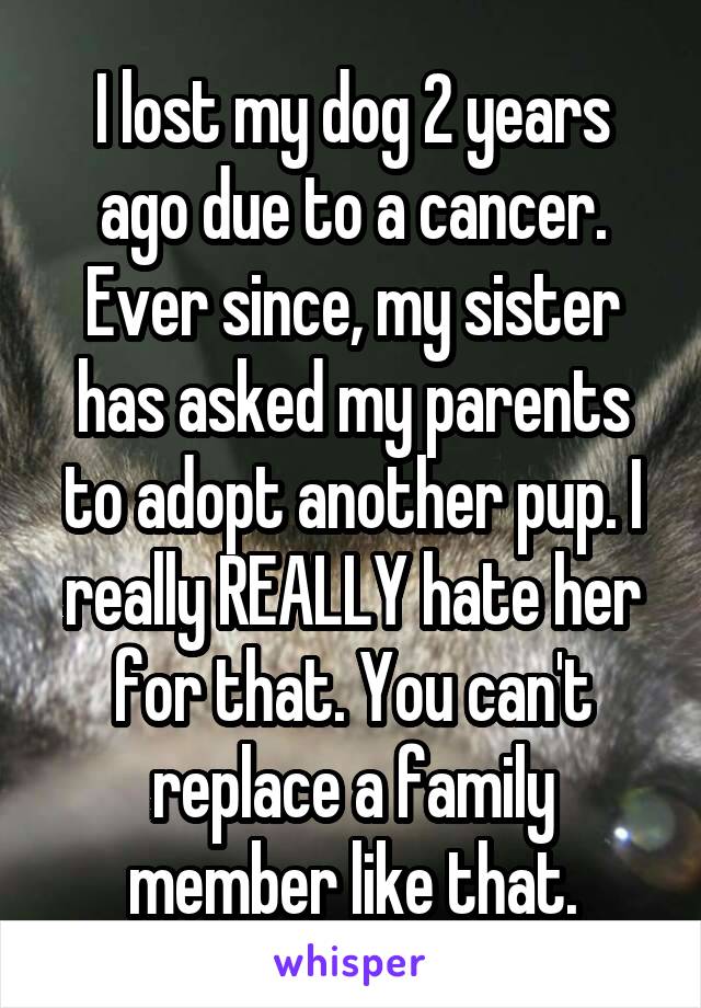 I lost my dog 2 years ago due to a cancer. Ever since, my sister has asked my parents to adopt another pup. I really REALLY hate her for that. You can't replace a family member like that.