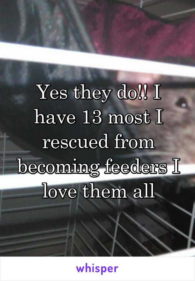 Yes they do!! I have 13 most I rescued from becoming feeders I love them all